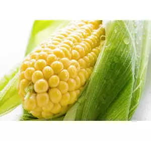 Кукуруза сахарная Сюрприз F1 (желтая)