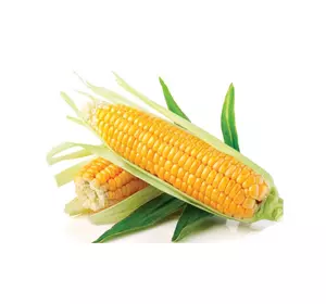 Семена кукурузы сахарной Багратион F1