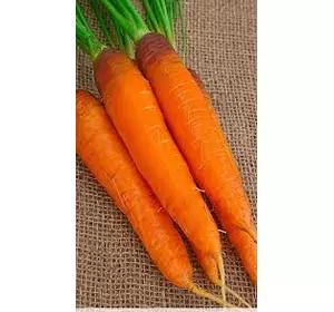 Морковь Шантенэ Роял 2 дражированный