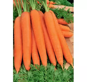 Морковь красная без сердцевины инкрустированная