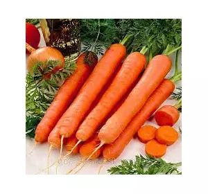 Морковь Перфекция инкрустированная