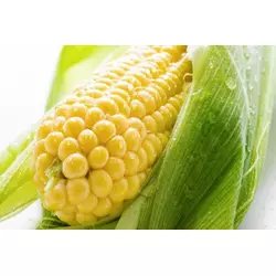 Кукуруза сахарная Сюрприз F1 (желтая)