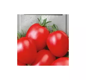 Семена томатов Лагидный