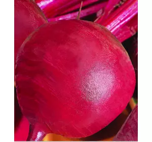 Семена столовой свеклы Красный шар