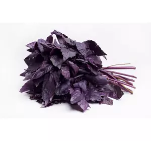 Семена базилика фиолетового ереванский