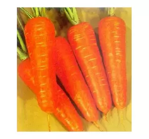 Семена моркови Шантанэ Курода