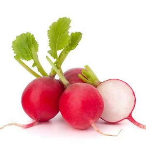 Насіння редиски Насіння редиски