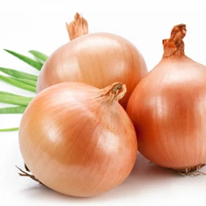 Насіння цибулі Насіння цибулі