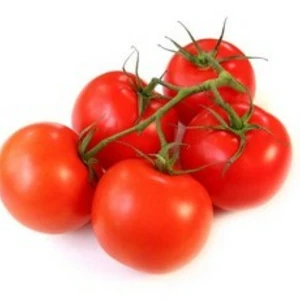 Семена томатов Семена томатов