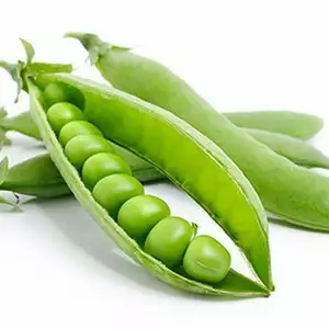 Насіння гороха Насіння гороха