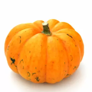 Насіння гарбуза Насіння гарбуза