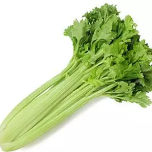 Семена сельдерея Семена сельдерея