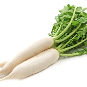 Насіння редьки Насіння редьки