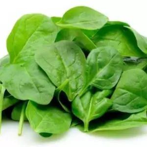 Семена шпината Семена шпината