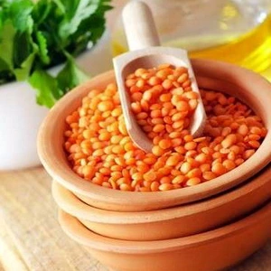 Семена чечевицы Семена чечевицы