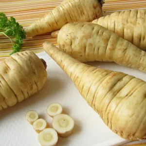 Семена пастернака Семена пастернака