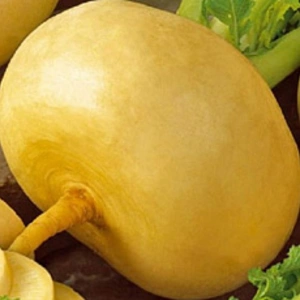 Семена Репы Семена Репы