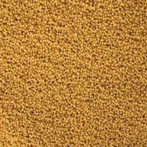 Насіння гірчиці Насіння гірчиці